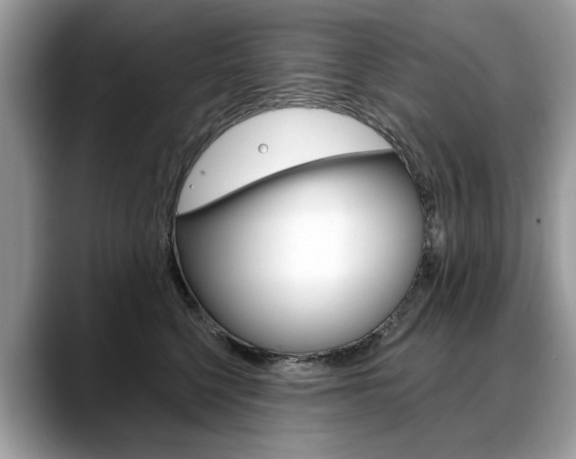X0000088710568200705311041