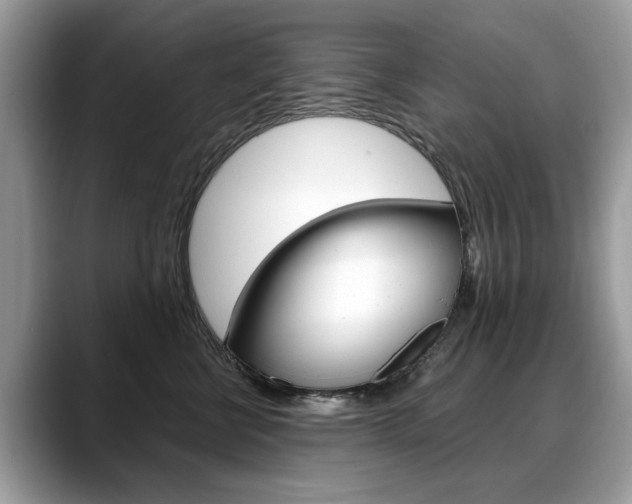 X0000088710570200705311041
