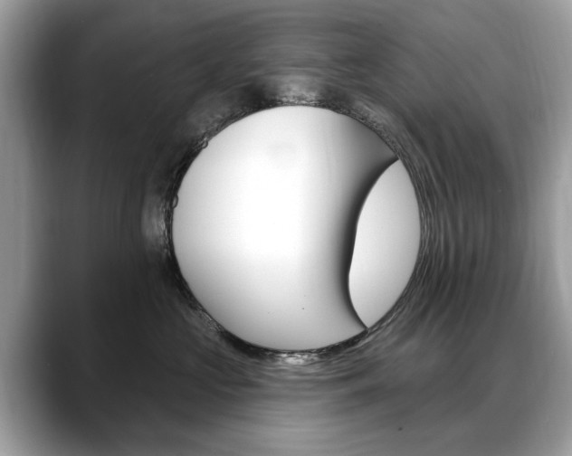 X0000088710573200705311041