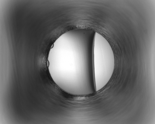 X0000088710575200705311041