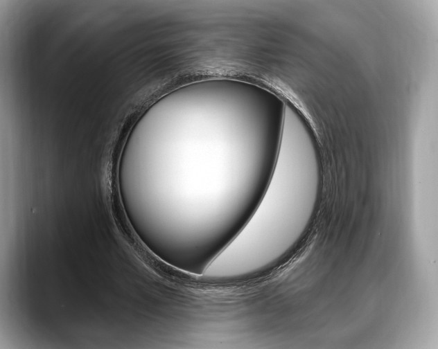 X0000088710581200705311040