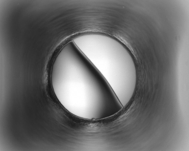 X0000088710584200705311040