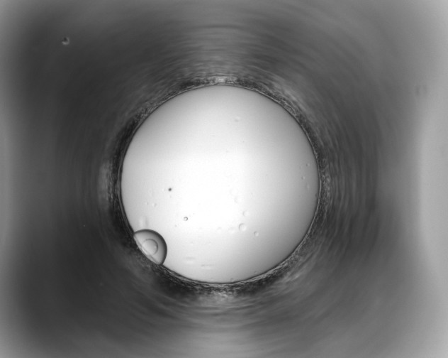 X0000088710594200705311040