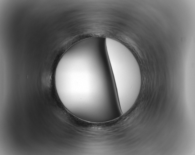 X0000088710596200705311040