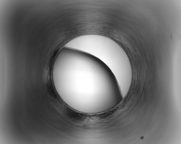 X0000088710599200705311040