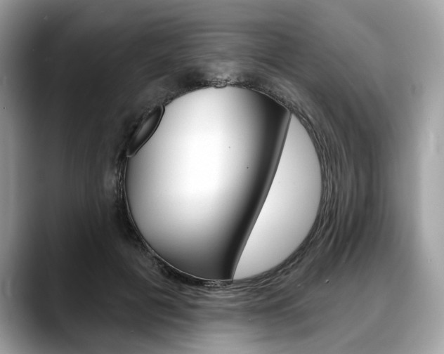 X0000088710601200705311040