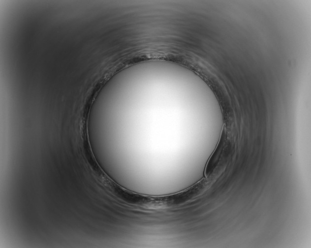 X0000088710604200705311040