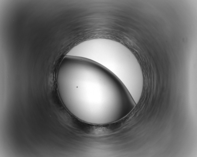 X0000088710605200705311040