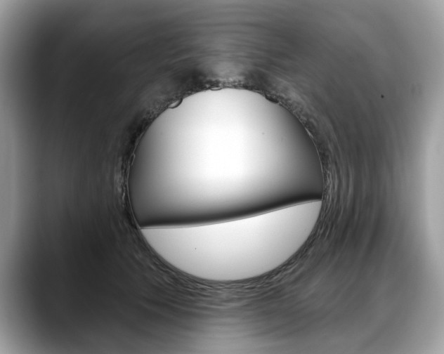 X0000088710609200705311040