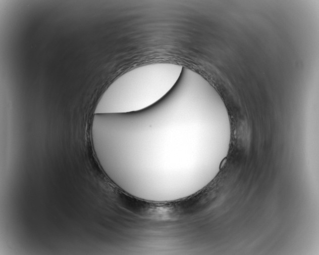 X0000088710610200705311040