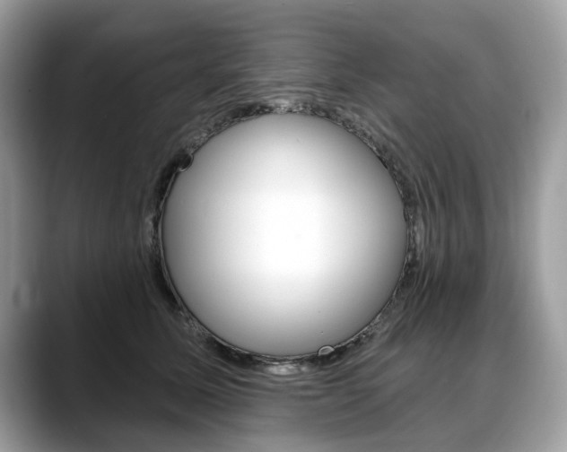 X0000088710611200705311040