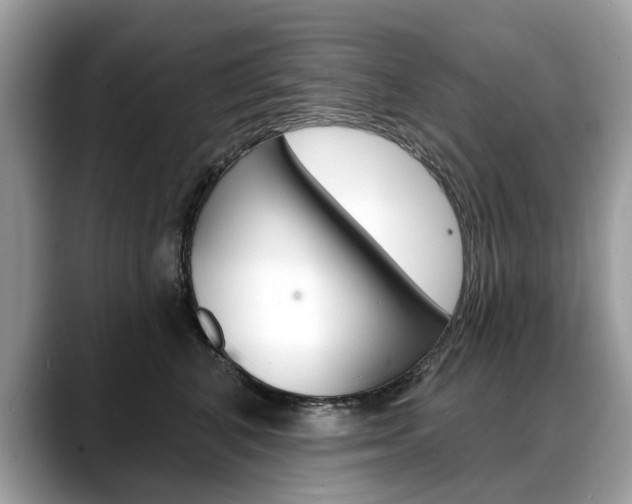X0000088710616200705311040