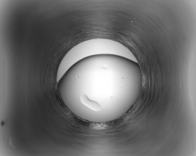 X0000088710621200705311040