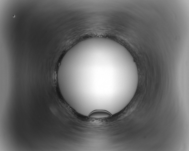 X0000088710624200705311040