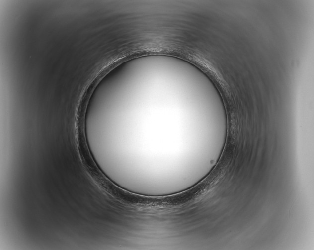 X0000088710626200705311039