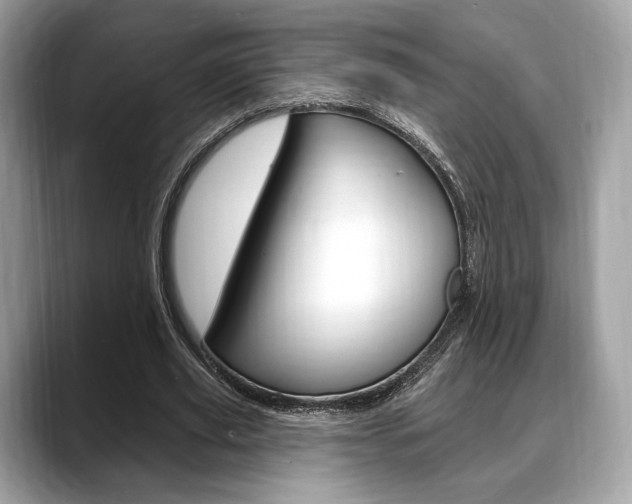 X0000088710629200705311039