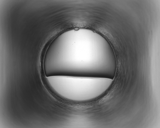 X0000088710630200705311039