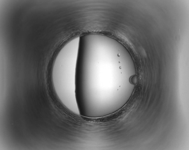 X0000088710635200705311039