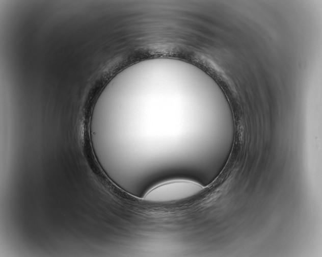 X0000088710637200705311039