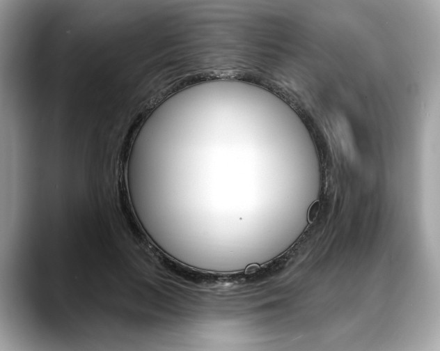 X0000088710647200705311039
