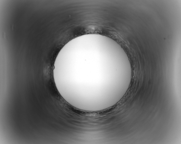 X0000088710659200705311039