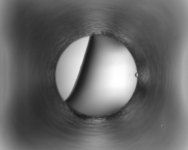 X0000088710661200705311039