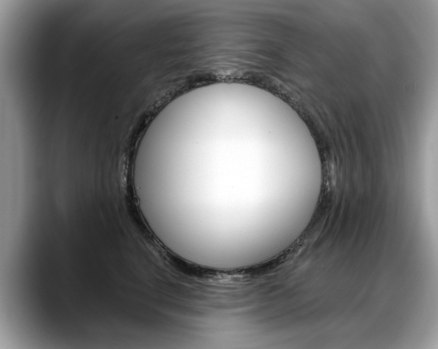 X0000088710664200705311039