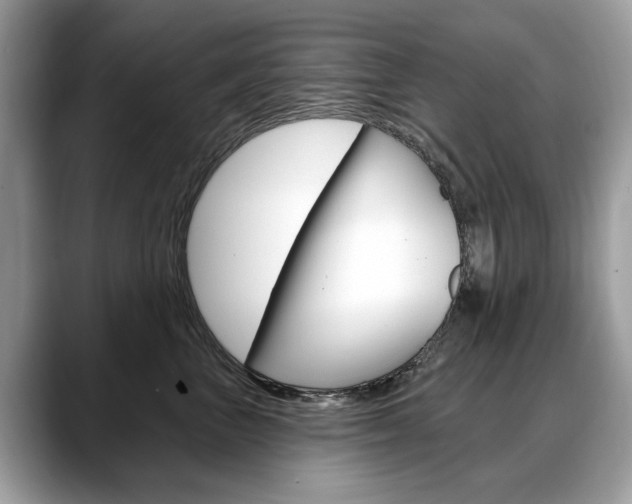 X0000088710667200705311039