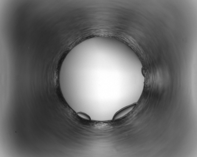 X0000088710669200705311039