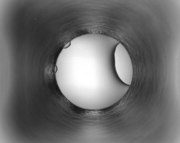 X0000088710671200705311039