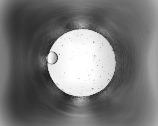 X0000088710672200705311040