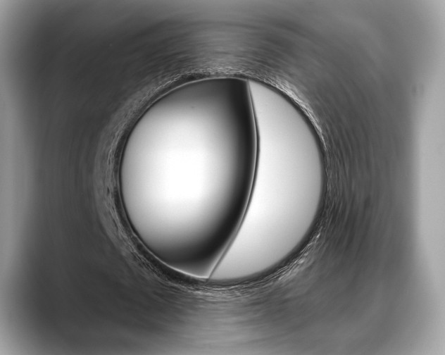 X0000088710673200705311039