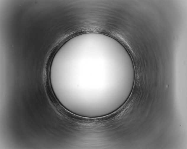 X0000088710674200705311039