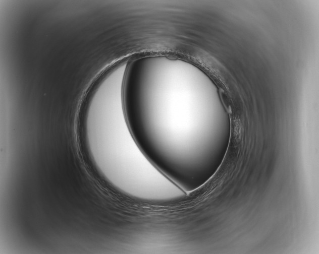 X0000088710676200705311039