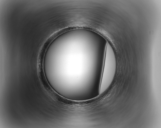 X0000088710680200705311039