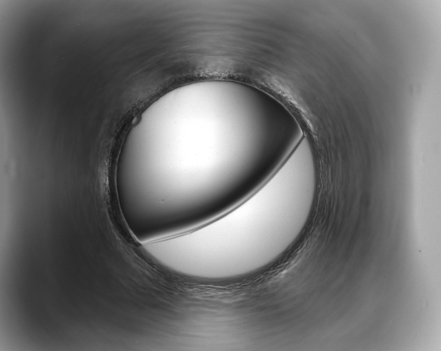 X0000088710681200705311039