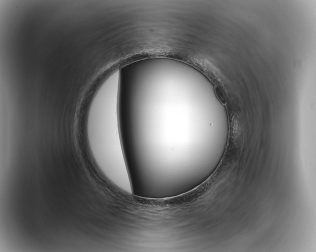X0000088710684200705311039