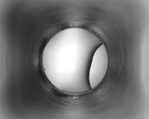 X0000088710687200705311039