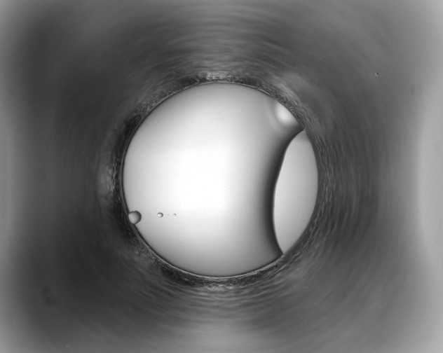 X0000088710691200705311039