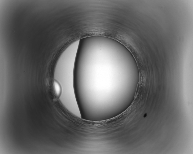 X0000088710692200705311039