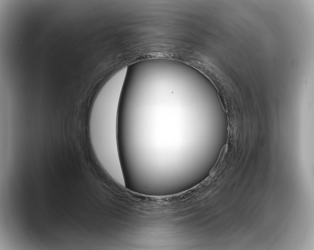 X0000088710696200705311039