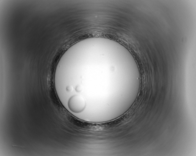 X0000088710698200705311039
