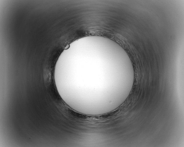 X0000088710703200705311039