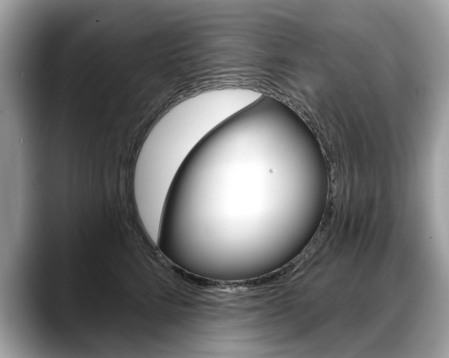 X0000088710712200705311038