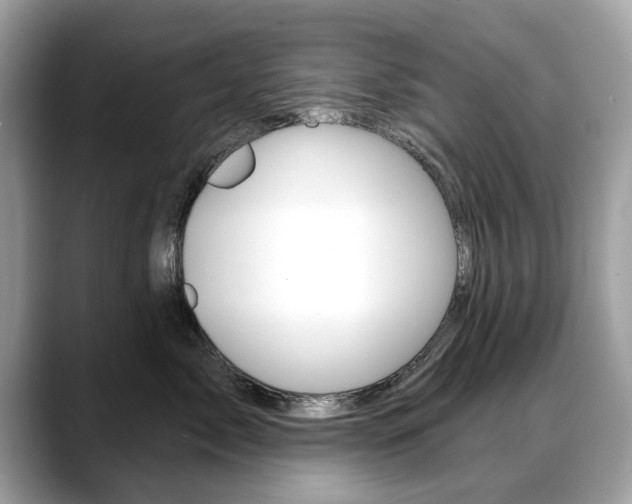 X0000088710717200705311038
