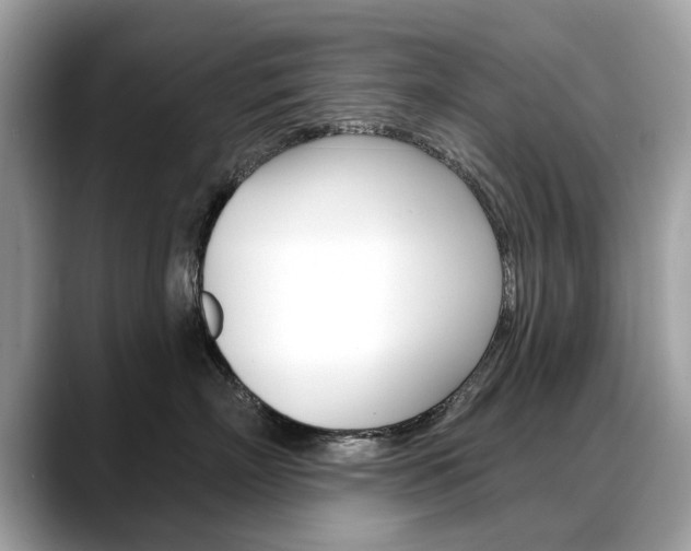 X0000088710718200705311038