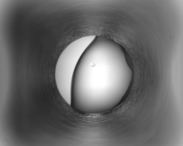 X0000088710720200705311038