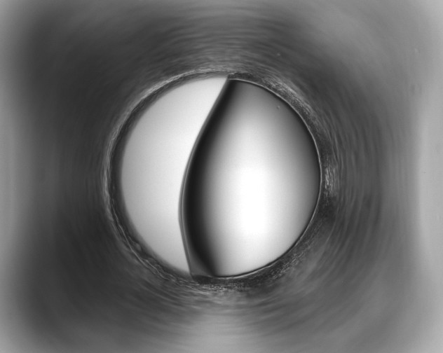 X0000088710724200705311038