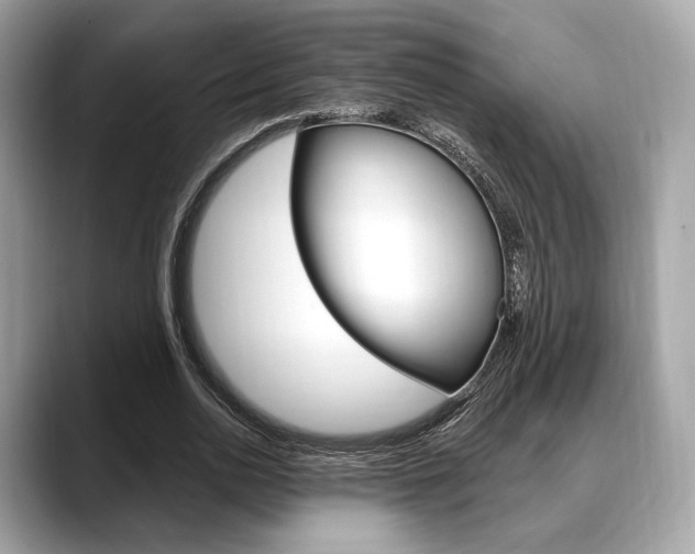 X0000088710726200705311038