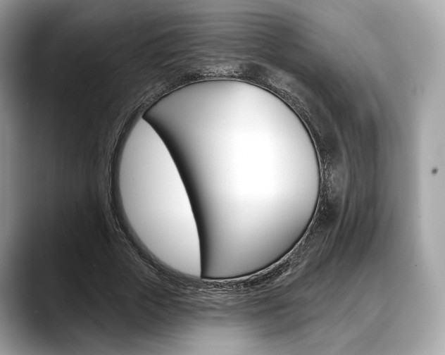 X0000088710729200705311038